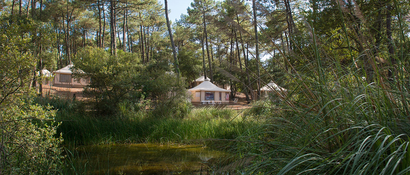 Camping Domaine de Fierbois, camping Capbreton, Nouvelle-Aquitaine - 5